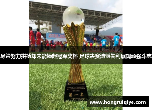 尽管努力拼搏却未能捧起冠军奖杯 足球决赛遗憾失利展现顽强斗志